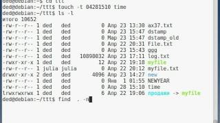 Поиск файлов в linux find newer size exec mtime type Часть 3 [upl. by Atonsah]