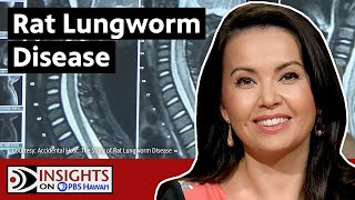 Rat Lungworm Disease What You Should Know  INSIGHTS ON PBS HAWAIʻI [upl. by Kessel]