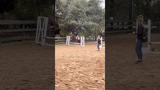 Bro why was my warmup jumps better then the actual course 😵‍💫  samesite haystack iea brown [upl. by Ellesig]