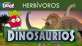 🦖 DINOSAURIOS HERBIVOROS PARA NIÑOS EN ESPAÑOL Preescolar [upl. by Akihsar207]