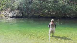 Fly Fishing the Blue Quill Hatch in the Great Smoky Mountains [upl. by Vigor]