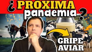 ¡ALERTA ¿EEUU EPICENTRO DE PRÓXIMA PANDEMIA [upl. by Calv]