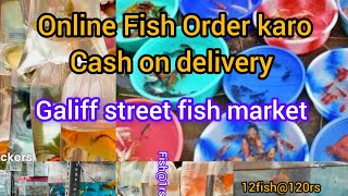 Galiff Street Aqurium Fish Market  Online order Avilable at any range🐬 [upl. by Piotr]