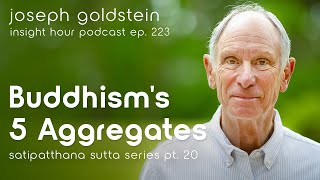 Buddhisms Five Aggregates – Joseph Goldstein Satipatthana Sutta Series Pt 20 Insight Hour Ep 223 [upl. by Varick340]