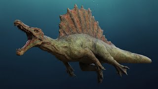 Spinosaurus  Spino Dinosaur [upl. by Nacul]