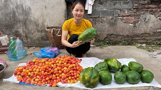 Harvest bastard oleaster green papaya go to market to sell daily life [upl. by Rimaa191]