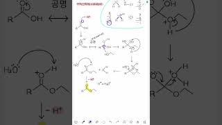 1분화학 에스터화1 공명 탄소양이온 친핵체 형식전하  카르복실산 알콜 엄마표 [upl. by Noizneb919]