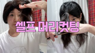 vlog 곱슬머리 셀프 머리컷팅 대충대충 주의 [upl. by Ming943]