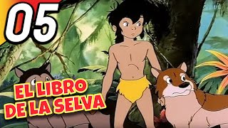 EL LIBRO DE LA SELVA  Episodio 5 Completo  Doblado en Español [upl. by Mot]