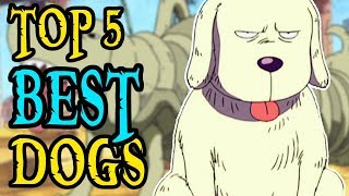 Top 5 BEST Dogs [upl. by Aynotal467]