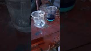 Preparation for tetraaaamine copper sulphate monohydrate [upl. by Halyahs]