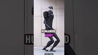 Chinas Humanoid Robots Assemble [upl. by Photima]