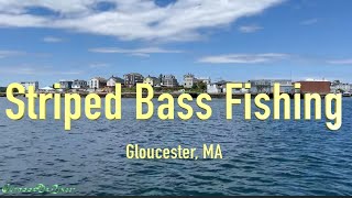 Fishing Series Striped Bass Fishing in Gloucester MA [upl. by Soisinoid]