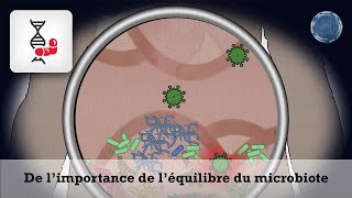 ScienceLoop Comment les microbiotes influencentils le fonctionnement du corps humain  23 [upl. by Darb614]