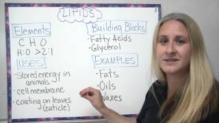 Organic compounds  4 main types described [upl. by Nibroc]