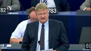 AfD  Prof Dr Jörg Meuthen quotDer Tag heute wird in die Geschichte eingehenquot [upl. by Yram333]