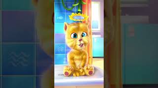 CUTEST FUNNY Cat Moments Ever Caught On Camera shorts viralshorts funnycatshorts [upl. by Gurolinick]