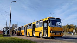 Ikarus 28040A SK6C209 ex AFF691  SimKol Katowice Przejazd 135 [upl. by Assej]