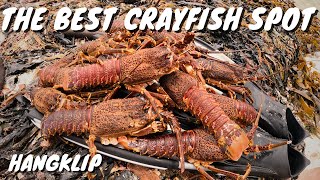 Awesome Crayfish experience  Hangklip Western Cape [upl. by Briggs]