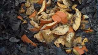 Composting 101 with a Geobin Composter Pumpkins [upl. by Hamfurd974]