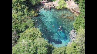 Floridas Ichetucknee Springs State Park is Freshwater Heaven [upl. by Panthia363]