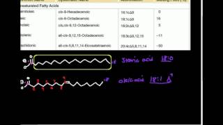 Difference Between Saturated And Unsaturated Fat [upl. by Lewert]