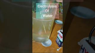 Electrolysis Of Water shorts shortsfeed science electrolysis [upl. by Merwin]