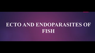 Ecto and Endo Parasite of Fish [upl. by Ahseia360]