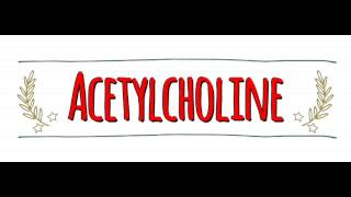 American vs Australian Accent How to Pronounce ACETYLCHOLINE in an Australian or American Accent [upl. by Utta]