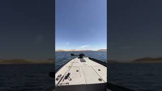 Self drive predator boat fishing with Extremadura Predator Fishing Spain [upl. by Eibo]