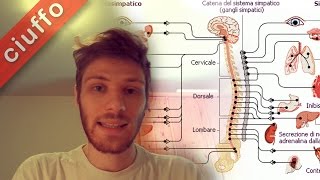 Sistema Nervoso Autonomo [upl. by Ahgem]