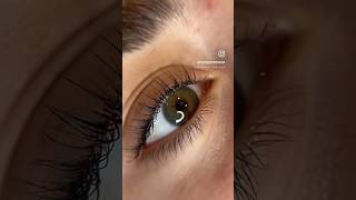 How to curl pin straight lashes lashlift lashtransformation soloesthetician huntingtonbeach [upl. by Oletha]