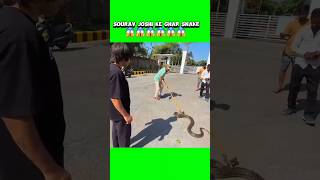 Sourav Joshi ke susaite mai Snake 😱😔 shorts souravjoshivlogs viralshorts shortfeed [upl. by Greenstein]