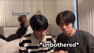 seungmin and jeongin ft minsung live in paris [upl. by Rolecnahc]