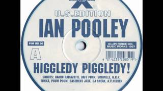 Ian Pooley  Higgledy Piggledy 1997 [upl. by Vanderhoek]