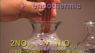 NO2 N2O4 Gas Equilibrium LeChateliers Principle Lab Part 4 [upl. by Irrab]