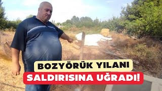 Çanakkalede Bozyörük yılanı saldırısına uğrayan vatandaş yaşadıklarını anlattı [upl. by Norita]