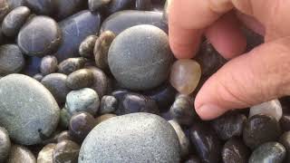 Hunting For Fews Agates At Birdling Flat [upl. by Llemor]