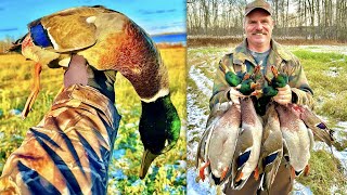 Only 1 DECOY Alberta GREENHEAD Hunt [upl. by Ermengarde200]