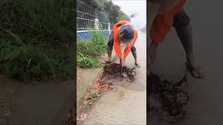 Cleaning Culvert Drain Rain Water blockeddrain stormwaterdrain satisfying drainunclog [upl. by Eentrok164]