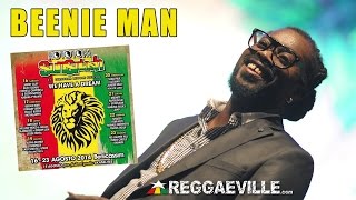 Beenie Man  Rototom Sunsplash 2014 8172014 [upl. by Atiruam]