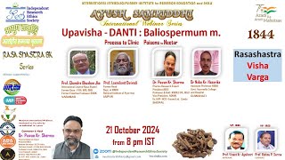 Upavisha  DANTI  Baliospermum Process to Clinic IRES AYUSH SAMRIDDHI 1844 International Webinar [upl. by Biebel]