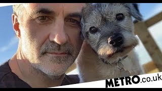 ✅ Super Vet Noel Fitzpatrick ‘overwhelmed with fear’ as dog is left in critical condition [upl. by Ribak]