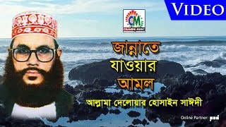 Allama Delowar Hossaien Saidy  Jannate Jawar Amol  জান্নাতে যাওয়ার আমল  Video Album  Waz Mehfil [upl. by Joon]