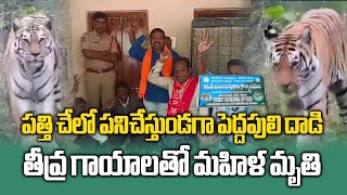 Tiger Attack Claims Womans Life while Working In Cotton Field  Telangana  Samayam Telugu [upl. by Immac691]