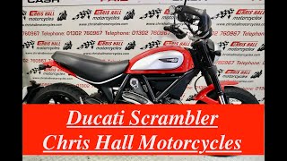 2016 Ducati Scrambler 800 Icon chrishallmotorcycles motorcycles ducati scrambler [upl. by Ennayelhsa]