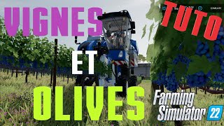 FS22  Culture des vignes et des oliviers [upl. by Humphrey]