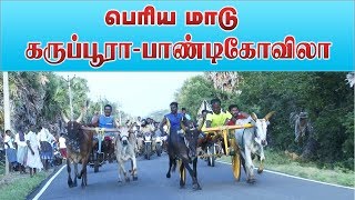 பெரிய மாடு 32ம் ஆண்டு மாட்டு வண்டி பந்தயம் எட்டியத்தளி [upl. by Dnivra]