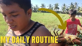 MY DAILY LIFE ROUTINE FISHPOND LIFE OSTING VLOG [upl. by Benil]