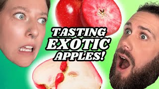 Tasting Exotic Apples Youve Never Heard Of [upl. by Wearing352]